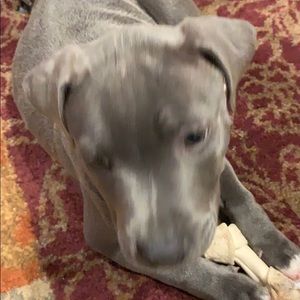 Meet your Posher, Dee